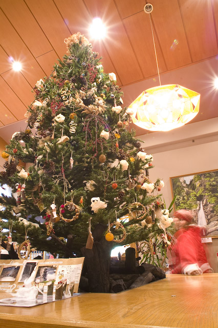 ☆森のクリスマスツリー「自然からの贈り物」 | 十津川村観光 ☆森のクリスマスツリー「自然からの贈り物」 | 十津川村観光