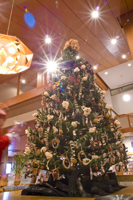 ☆森のクリスマスツリー「自然からの贈り物」 | 十津川村観光 ☆森のクリスマスツリー「自然からの贈り物」 | 十津川村観光