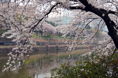 外濠公園 | 今朝の東京