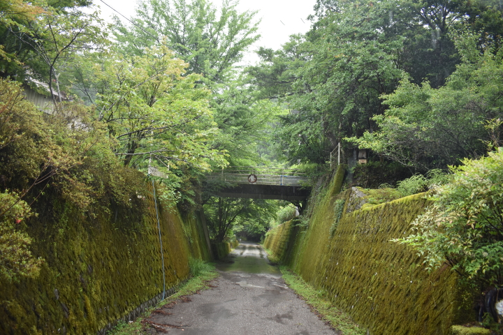 高知県香南市(旧香我美町) 舞川(その2) HEYANEKOの棲み家(へき地ブログ)
