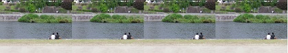 kamogawa3.jpg