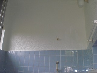 浴室 壁 塗装 Diy Htfyl