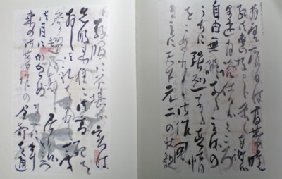 会津八一　自画像　かまづかの…　紙本　肉筆　捲り 会津八一 自画像 かまづかの… 紙本 肉筆 捲り - メルカリ