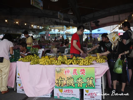 Taiwan Banana3.jpg