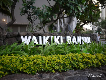 Waikiki Banyan.jpg