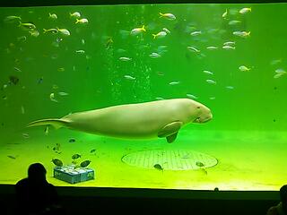 20120619_105750.jpg