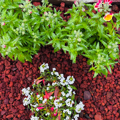 本日晴天なり☆