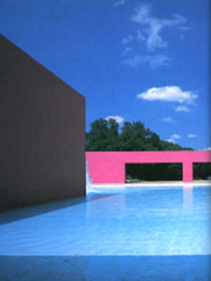 大好き！ルイス・バラガン | HIGH＆LOW