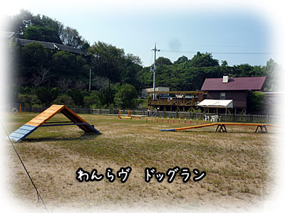 2010-09-22-007g.jpg