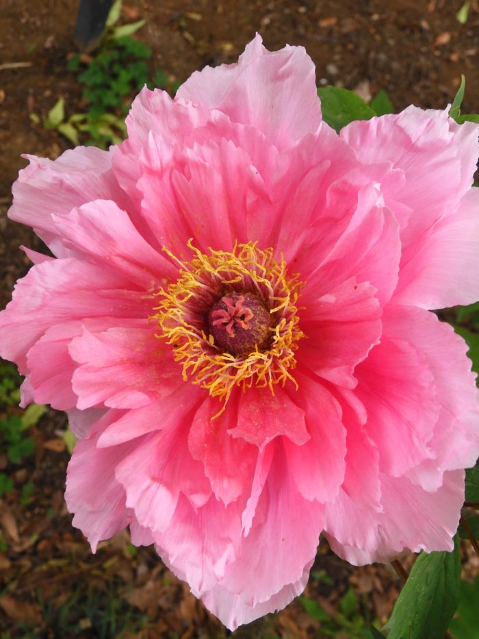 2024年04月28日の記事 | K U R A D A S H I