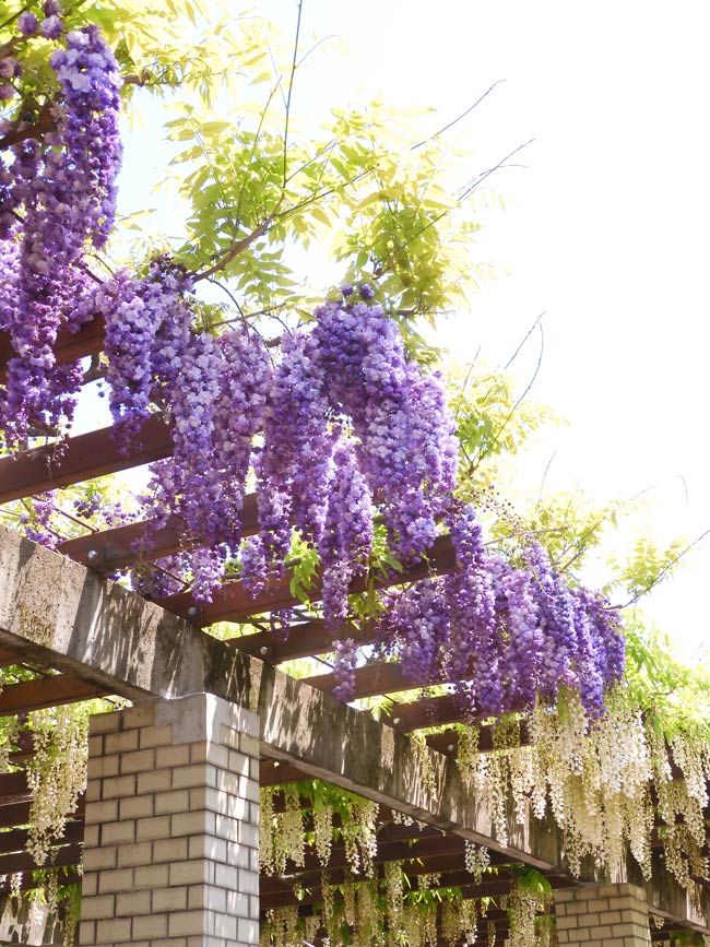 金銀平脱童子騎獣紋八花鏡 | 兵庫県立考古博物館加西分館