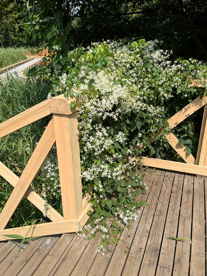 2025年09月02日の記事 | K U R A D A S H I