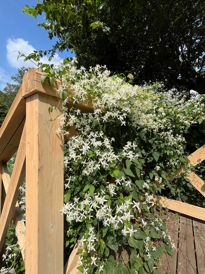 2025年09月02日の記事 | K U R A D A S H I