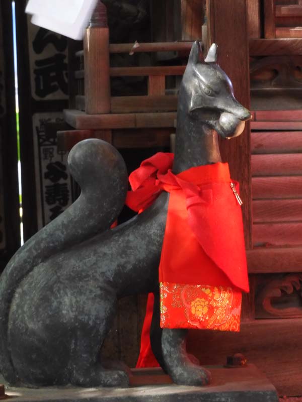 湯島天神菊まつり 2025 見頃の大菊と境内の見どころ 11月上旬〈後編