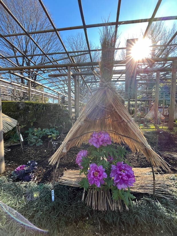 2026年01月17日の記事 | K U R A D A S H I