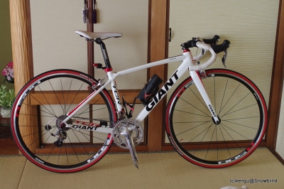 GIANT TCR2 2011 フラットバーロード