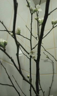 20120126215752.jpg