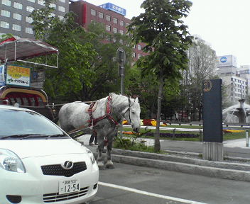 201106041005000.jpg