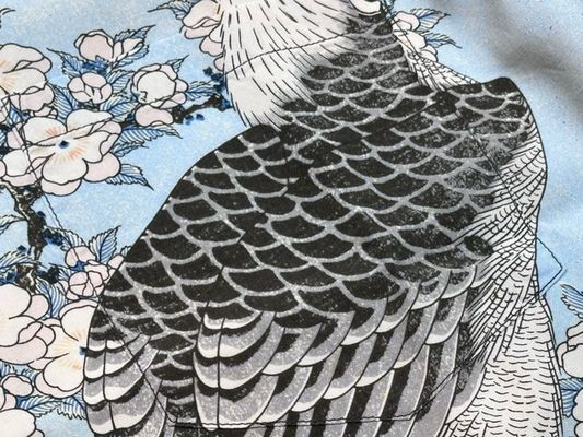 SUN SURF SPECIAL EDITION・日本の意匠 / 「葛飾北斎・桜花に鷹 SUN SURF SPECIAL EDITION・日本の意匠 / 「葛飾北斎・桜花に鷹