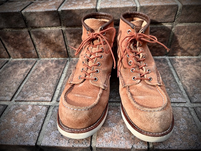 レッドウイング　ジャンキークラシックス レッドウイング！！新しいアイリッシュセッター！！ | JUNKY
