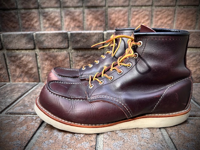 レッドウイング　ジャンキークラシックス レッドウイング！！新しいアイリッシュセッター！！ | JUNKY