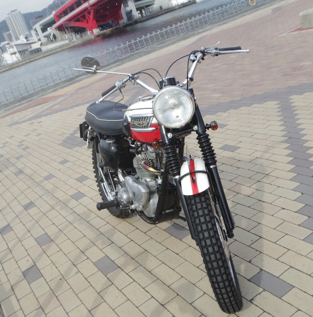 1960 TRIUMPH TR6/B Trophy-Bird」大阪府М氏 完成報告 | NUNOBIKI