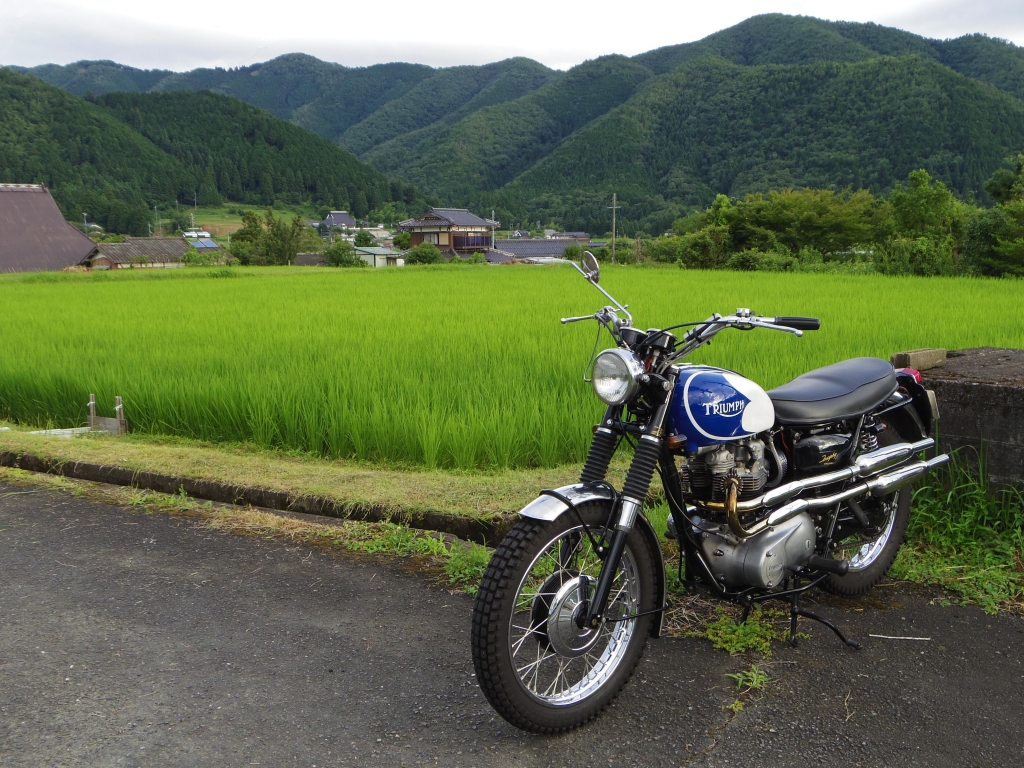 1960 TRIUMPH TR6/B Trophy-Bird」大阪府М氏 完成報告 | NUNOBIKI