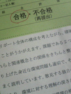 保健体育講義Ⅱ 合格　リポート　日大通信 日大通信保健体育講義Ⅱ リポート