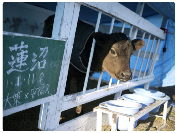田舎の本屋さん―農業・食文化・教育・生活の書籍専門店―