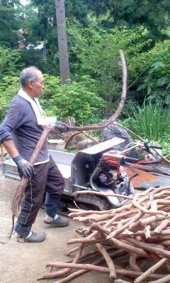 岩手県北・7月上旬が山葡萄蔓採取真っ盛り | 手仕事フォーラムblog 岩手県北・7月上旬が山葡萄蔓採取真っ盛り | 手仕事フォーラムblog