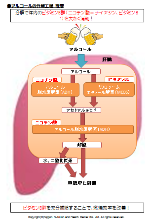 ①理想の健康・カラダづくり『栄養素バランスメソッド』とは | NNHC