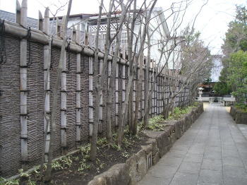 状態悪し 庭 別冊③ うえきの庭 人と作品・飯田十基の世界 沖縄・南九州うえきの庭/木を選ぶ・描く 昭和52年4月15日発行 建築資料研究社 若手庭師集団「庭盛会」 | 庭師の日記「日々是好日」