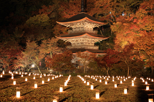 舞鶴 金剛院ライトアップイベントに行ってきました | 日本三景 天橋立