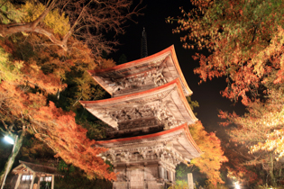 舞鶴 金剛院ライトアップイベントに行ってきました | 日本三景 天橋立