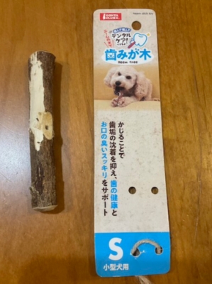 ご支援よろしくお願いします（犬） | ポチたま会の犬猫保護日記