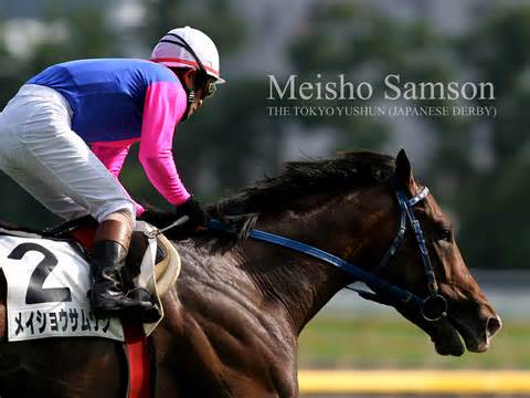 メイショウサムソン 日本ダービー 東京競馬場 的中単勝馬券 石橋調教師 