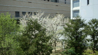 2012041713020001.jpg