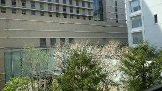 2013040413570000.jpg