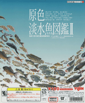 原色淡水魚図鑑Ⅱ☆初版【シマドジョウ】☆YUJIN ユージン 淡い