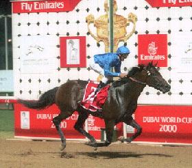 ドバイミレニアム | うみねこ博物館