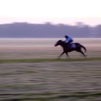ディープインパクト - 飛空の軌跡 ディープインパクト - 飛空の軌跡