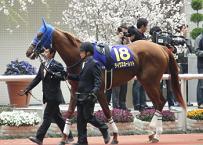 第32回 エリザベス女王杯 | うみねこ博物館