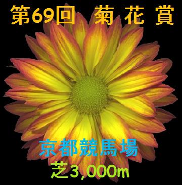 オウケンブルースリ 第69回 菊花賞 AVANTI 第69回菊花賞 | Tonyの競馬写真ブログ