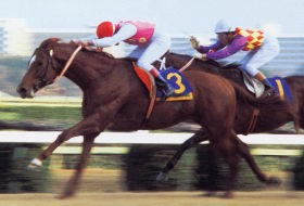 激レア競馬 馬券 名馬 テンポイント 激レア競馬 馬券 名馬 テンポイント テンポイント | 競走馬