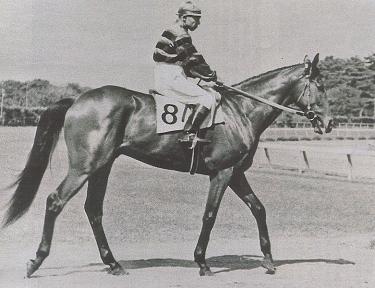 トキノミノル | うみねこ博物館