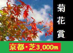 第70回 菊花賞 | うみねこ博物館