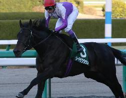 2009年第70回菊花賞　現地全頭単勝馬券 第70回 菊花賞 | うみねこ博物館