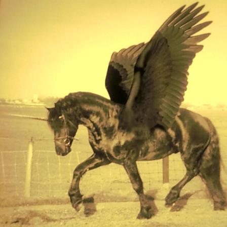 聖翼の一角獣 ―Monoceros-wing― | うみねこ博物館