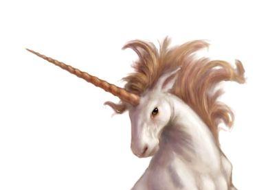 ピンクムーンスノーセラフィム 一角白鯨冥環 unicorn展示室 - 20101017 1113152 jpg