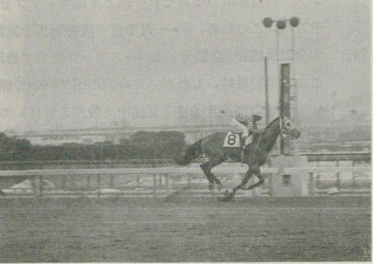馬・競馬の基礎＆古知識 ～日本編～第二部 | うみねこ博物館